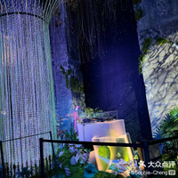 “Fun Place”Solo Set【Ins Fun Place】